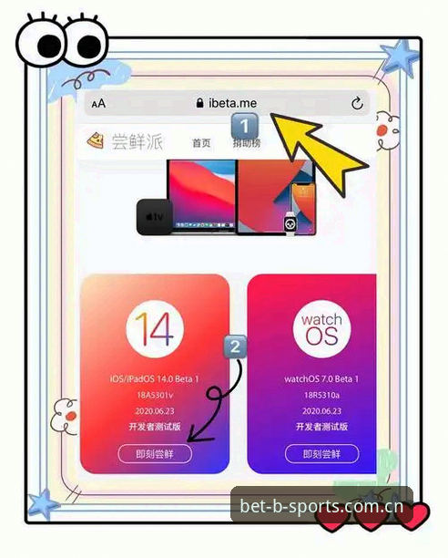 B体育苹果版安装教程：从下载到使用的完整指南